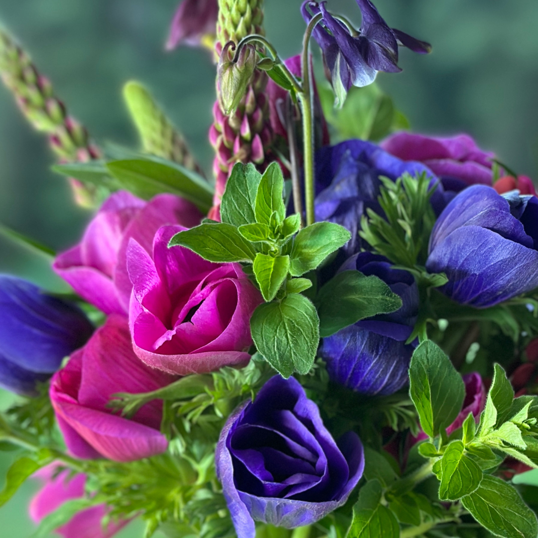 Summer Solstice at the Flower Farm