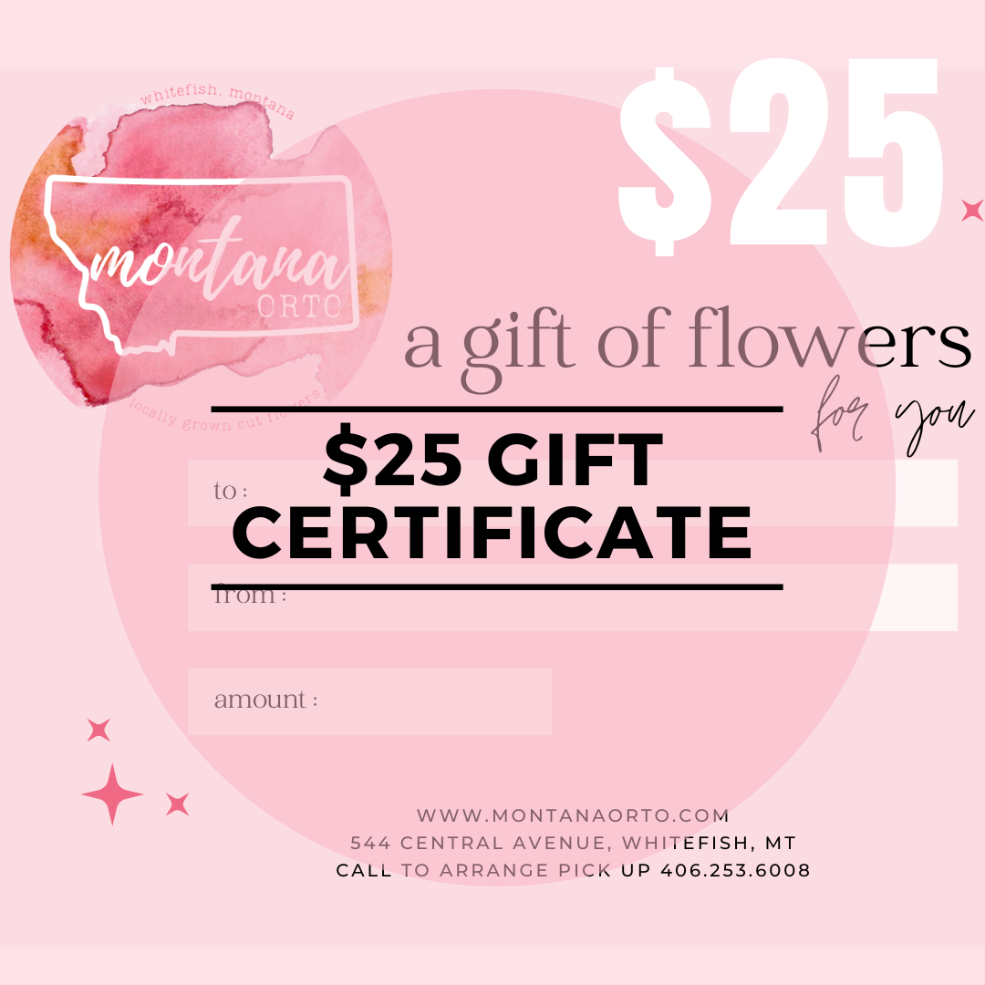 $25 Gift Certificate