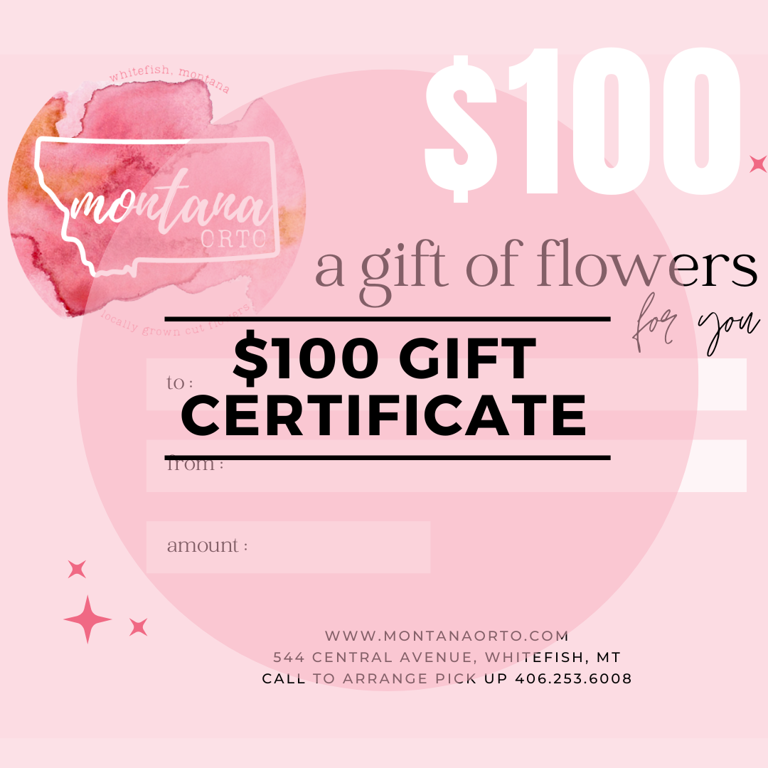 $100 Gift Certificate