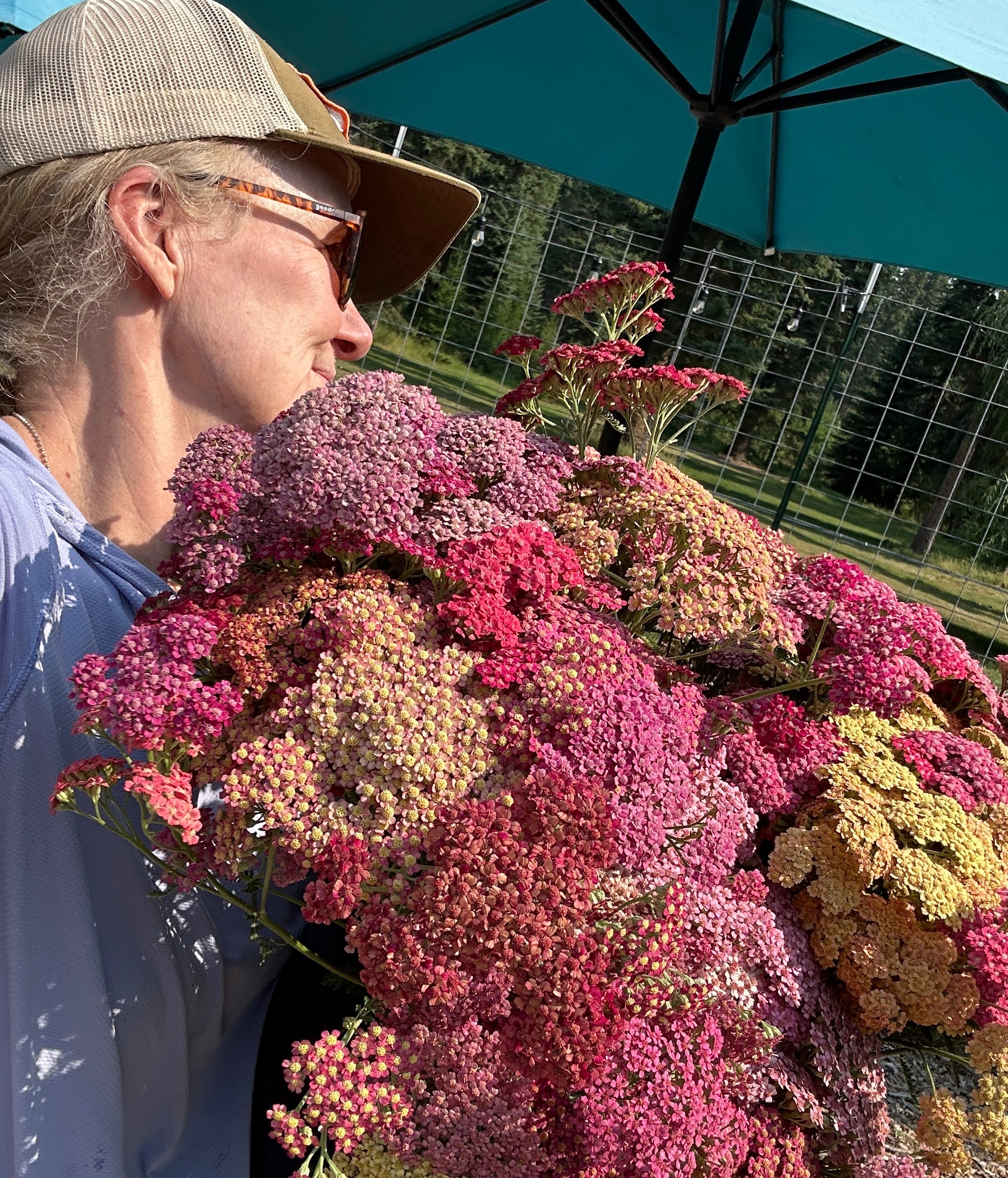 Single Variety Bunch