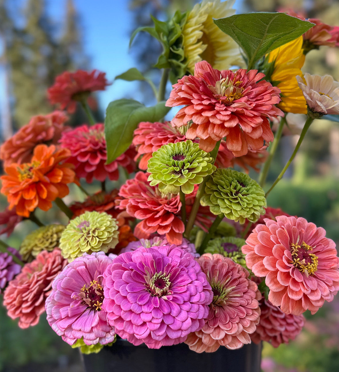 Fresh Farm Bouquets — Montana Orto Flower Farm