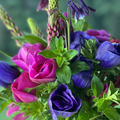 Flower Fridge Bouquets